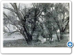 Charlston Springs near Beverly around 1907.