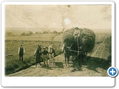 Flemington Vicinity -  Raritan Township - Farmers horses and hay wagon - c 1910