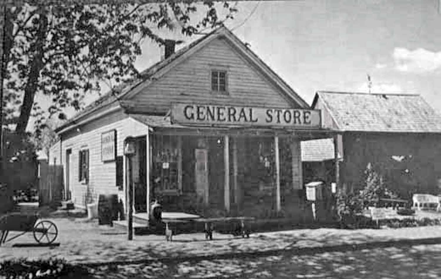 Absecon - General Store - c 1910