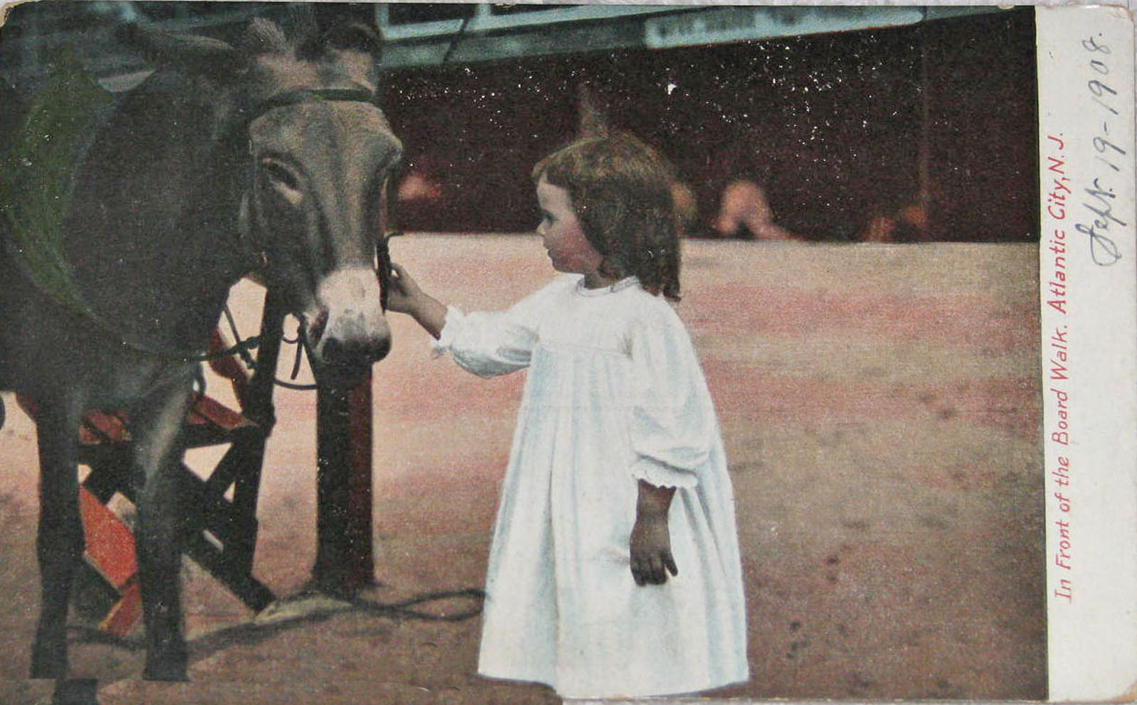 Atlantic City - A little girl patting a donkeys nose