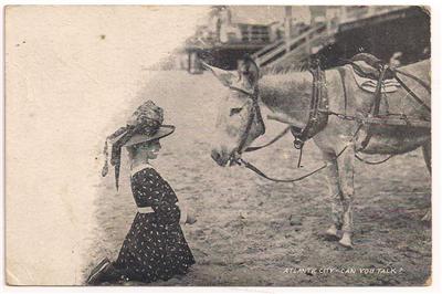 Atlantic City - Little girl And donkey on the beach - c 1910