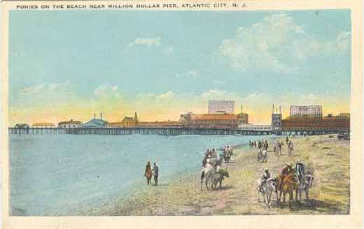 Atlantic City - Ponies on the Beach - 1910 or so