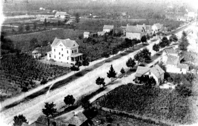 Egg Harbor City - This pictue was taken from the standpipe at the corner of Buerger Street and Philadelphia Avenue - This is the 400 block of Philadelphia Avenue - Note Dr Smiths Health Spa in the distance - 1906