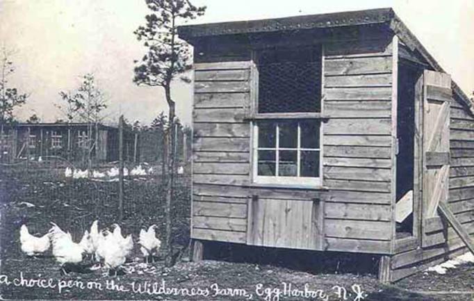 Egg Harbor City vicinity - Wilderness Farm - 1909
