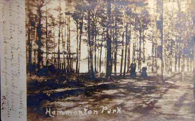 Hammonton - View of Hammonton Park - 1907