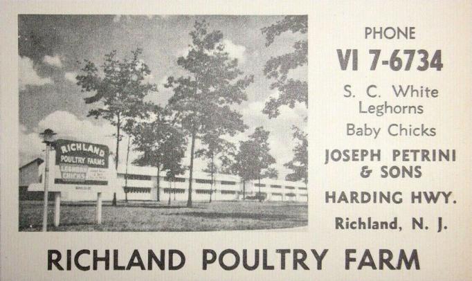 Richland - Richland Poultry Farm - Joseph Petrini and sons - c 1955