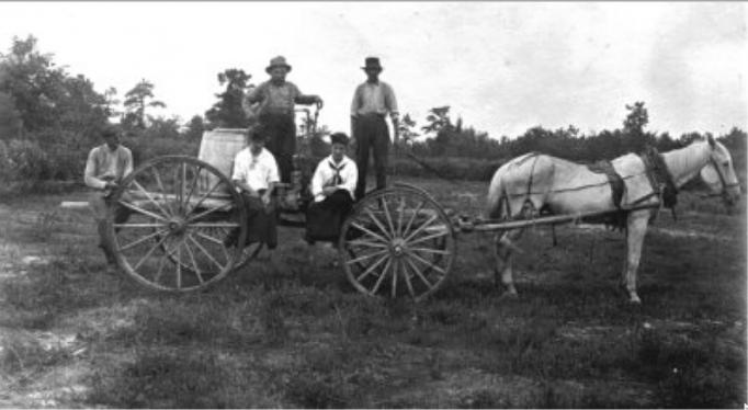 New Gretna - Rye Allens Cranbury Wagon - Allen is standing to the right of the cranberry barrel - Courtesy of Pete Stemmer - c 1910 - Courtesy of Pete Stemmer