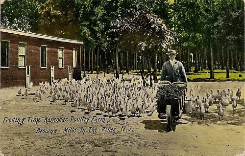 Browns Mills - The Rancocas Family Farm - 1914 copy
