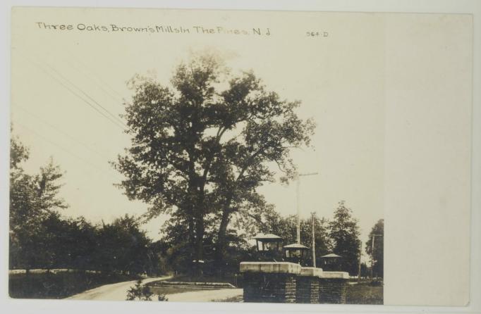 Browns Mills in the Pines - Three Oaks - c 1910s