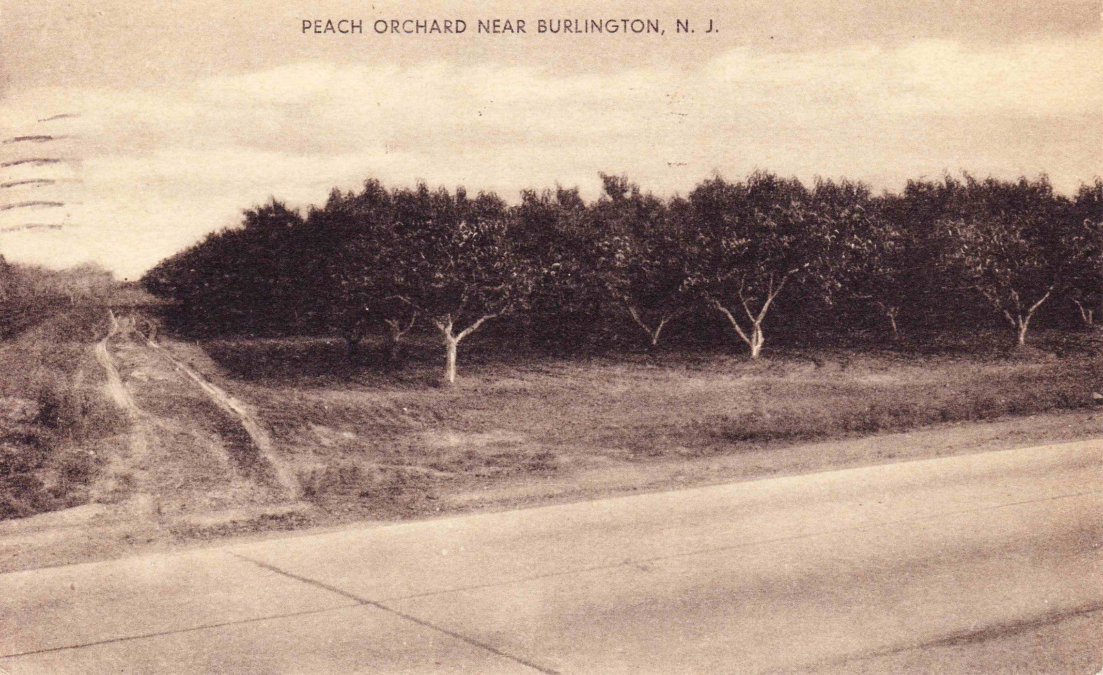 Burlington vicinity - Peach orchard - c 1940