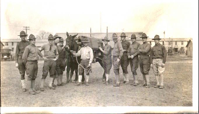 Camp Dix - Soldiers with pack horses