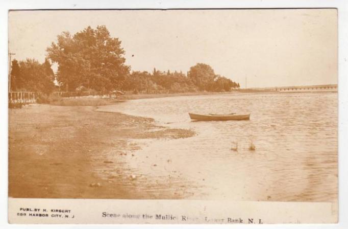 Lower Bank - Scene along the Mullica River - c 1910