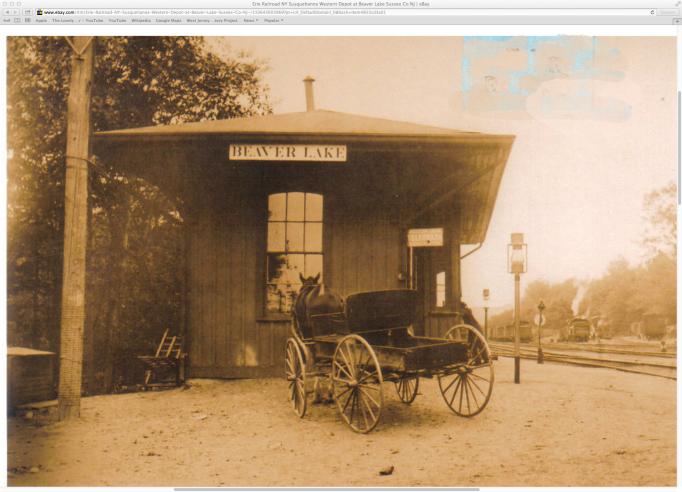Beaver Lake - Erir RR Depot - c 1910
