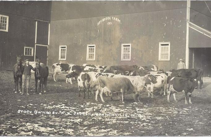 Branchville - Dry Brook Farm - Stock Farm - -A T Jacuer - c 1910