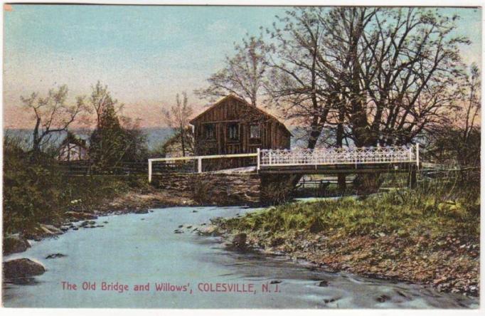 Colesville - The old bridge and willows copy
