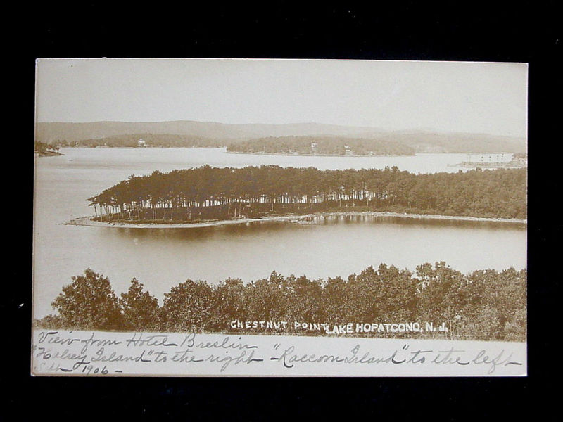 Lake Hopatcong - Central Point - c 1910