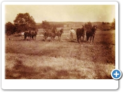 Annandale - The Cramer Farm - 1908