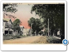Annandale - West Street houses - c 1910