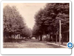 Annandale - West Street View - 1908