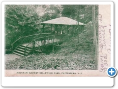 Bellewood Park - Mountain Stairway - c 1910
