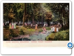 Bellewood Park  - PicnicGrounds -c 1910 - Near LVRR