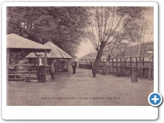 Bellewood Park - LVRR Station - c 1910