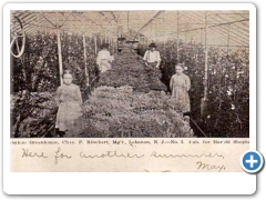 Lebanon - Greenhouse and workers - Managed by Charles Rinehart - 1908