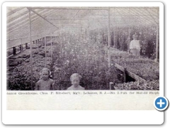 Lebanon - Greenhouse Manager Rinehart's Children at the greenhouse - 1908