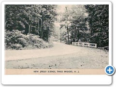 Three Bridges - A Road through the woods - c 1910
