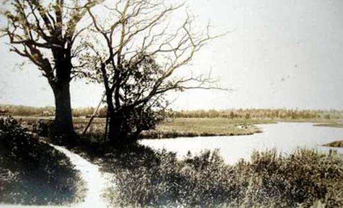 Absecon vicinity - Scene of fast land and wetlands - c 1910