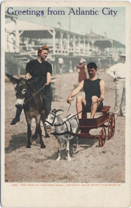 Atlantic City - A goat cart on the beach - 1913