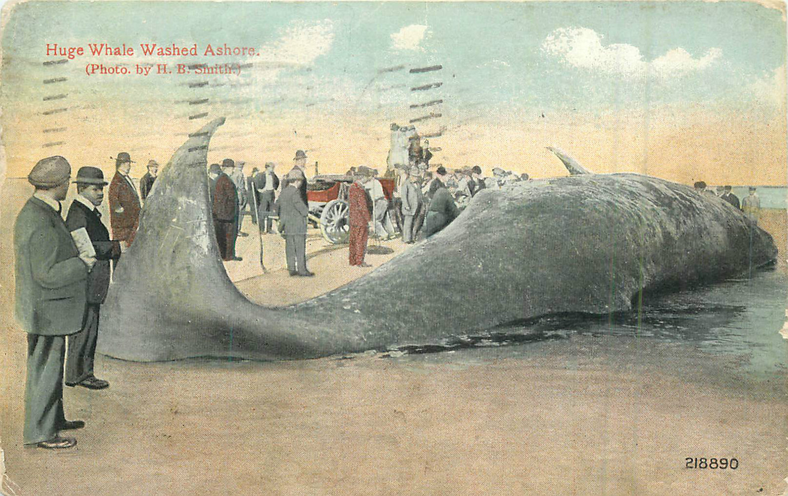 Atlantic City - Dead whale washed up on the beach - 1916