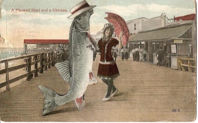 Atlantic City - Planked Shad and Chicken - 1907