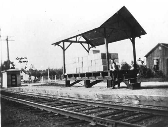 Dorothy_Station_Loading_platform