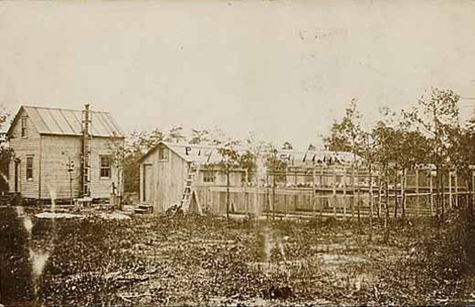 Egg Harbor City - Welphs Farm - 1910