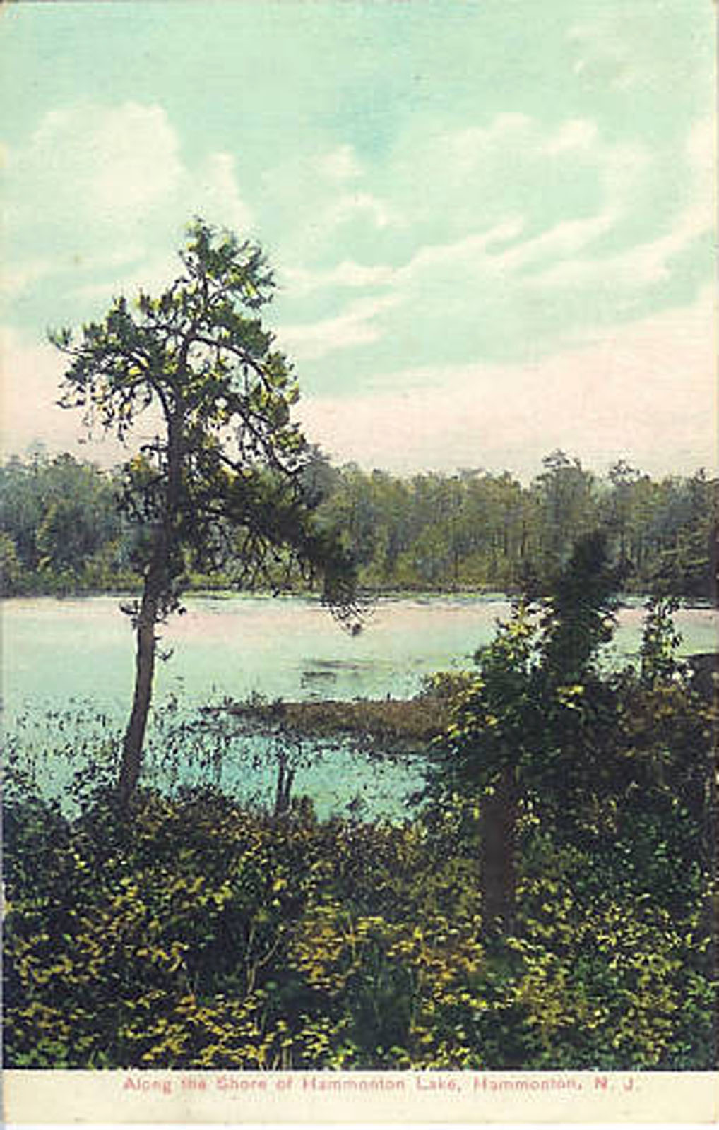 Hammonton - A view of Hammonton Lake