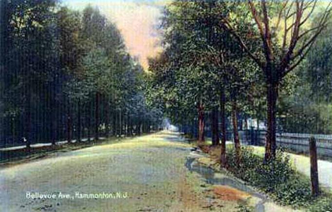 Hammonton - Tree lined Bellview Avenue