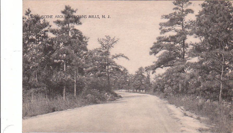 Browns Mills - A road through the Pines