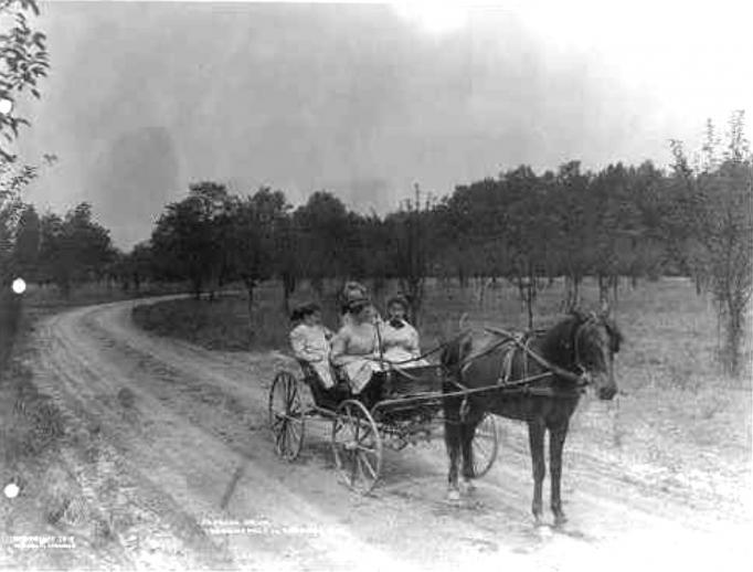 Browns Mills - Teahouse Drive - young women in carriage - c1910