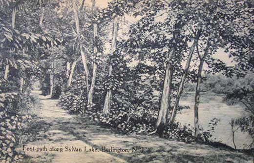 bRLNGTNFOOT PATH ALONG SYLVAN LAKE c1910