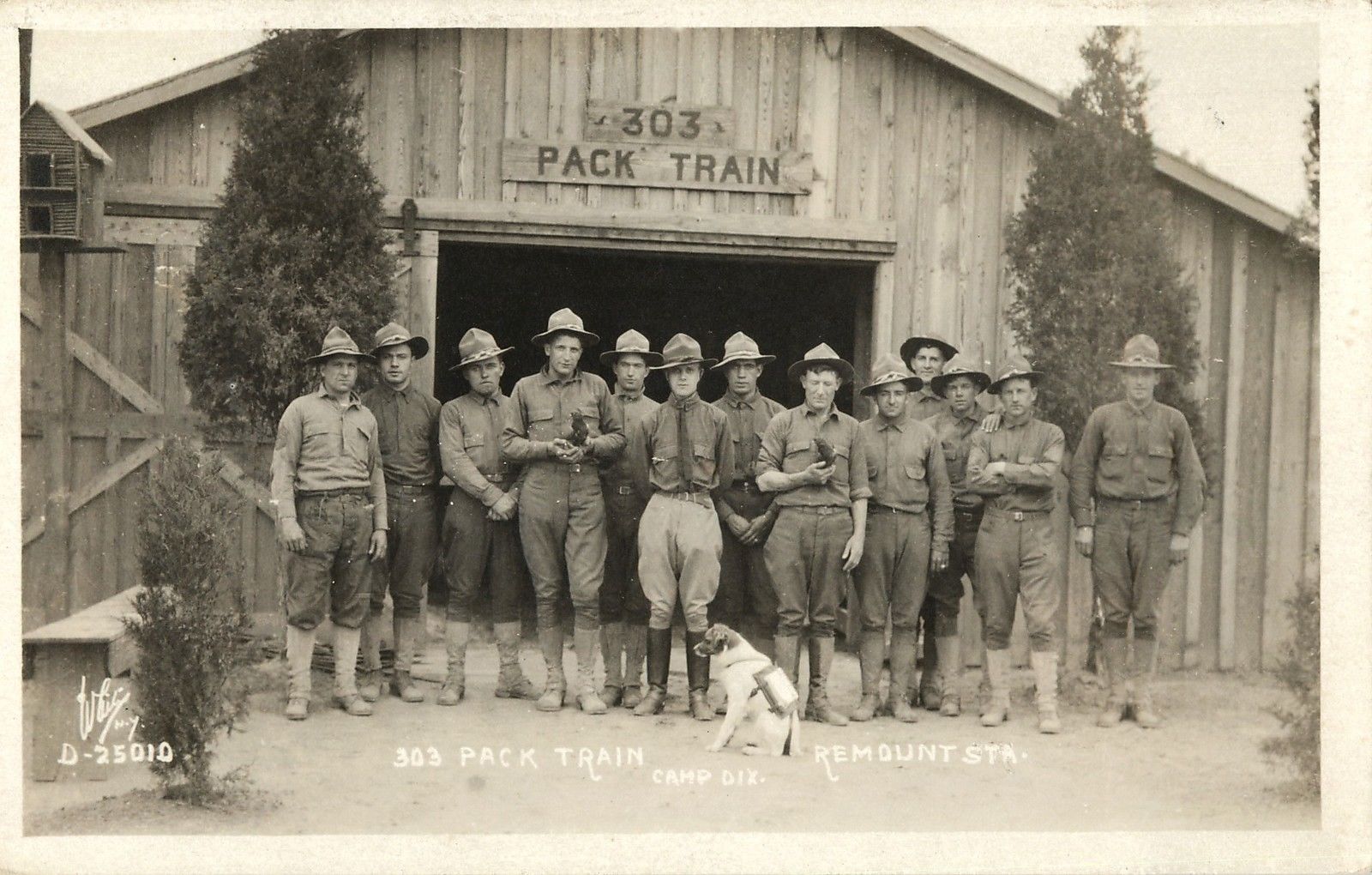 Camp Dix - Pack Train Remount Station, Troops & Mascot, - 1917-18