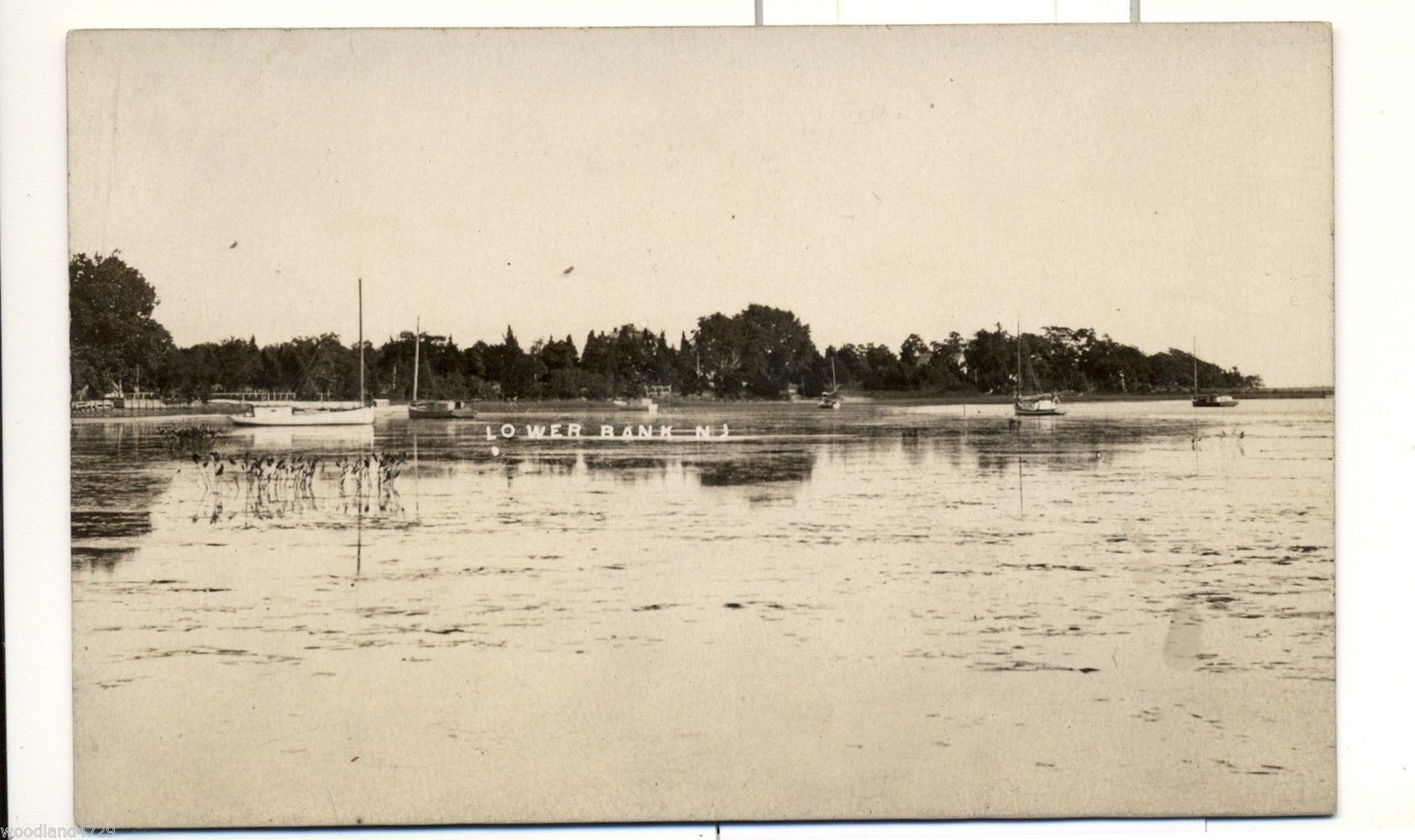 Lower Bank - Shorefront - c 1910