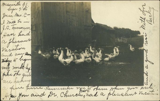 Masonville - Duck Farm - 1906