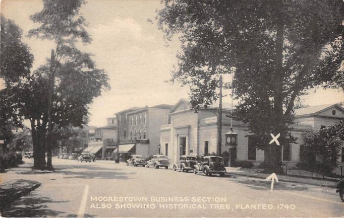 Moorestown - The buisness district on Main Street and a historic tree planted in 1740