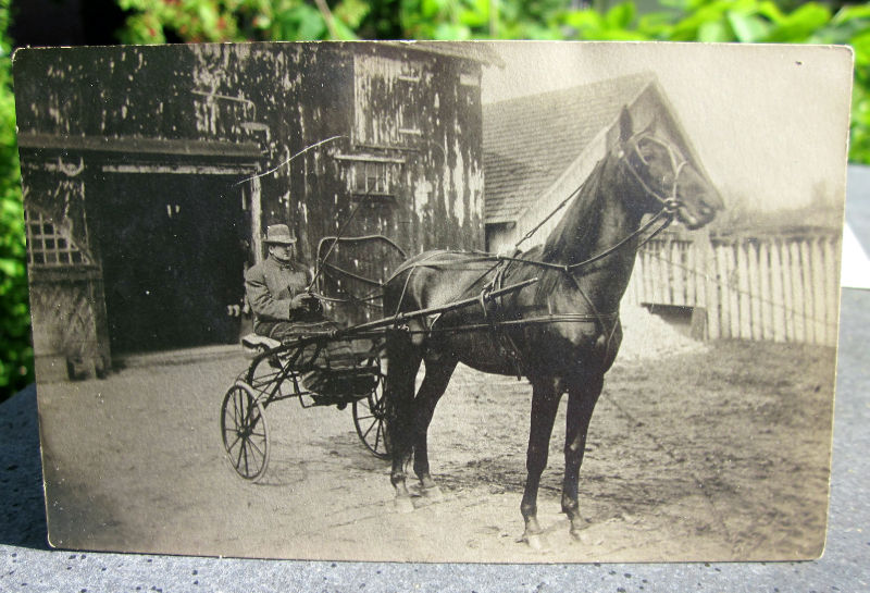 Mount Holly - Harry Fry - Horse and buggy or sulky - c 1910