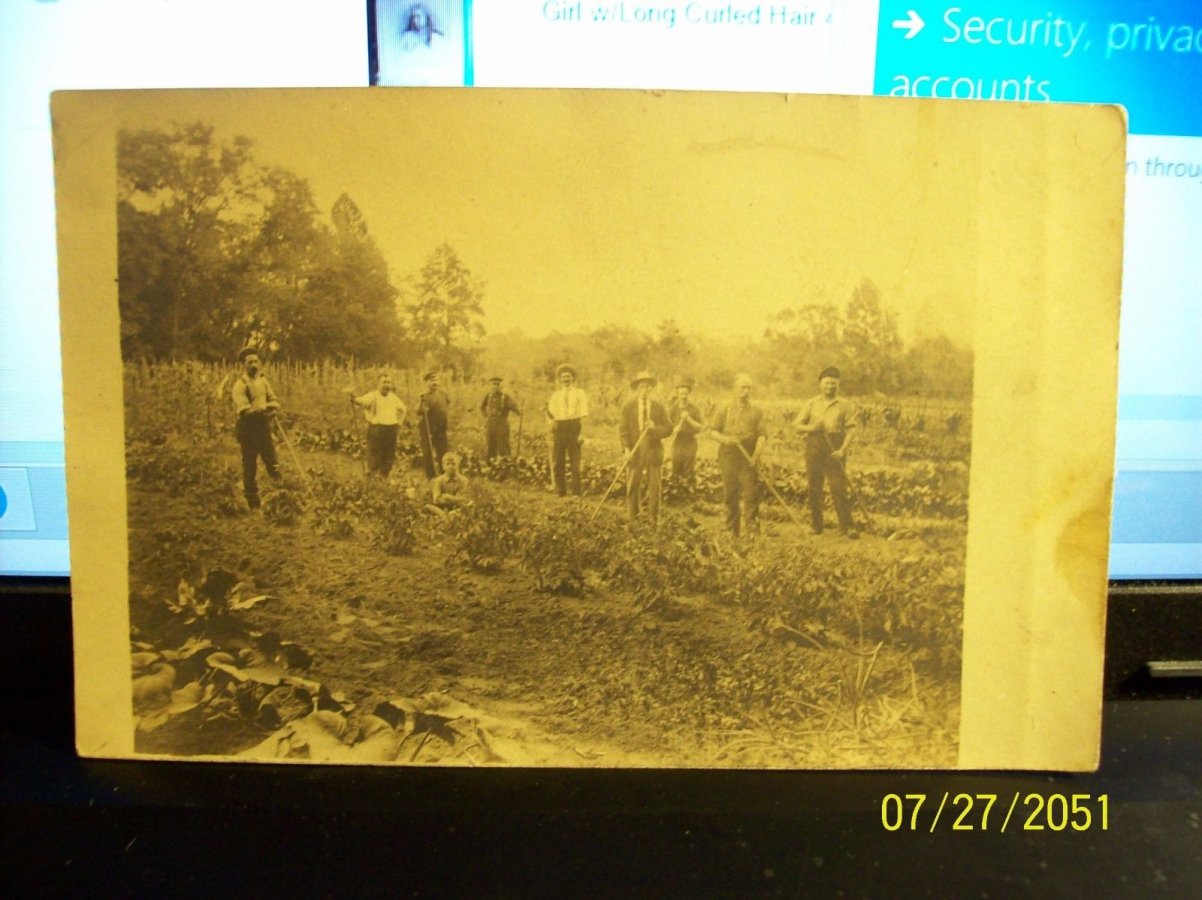 Mount Holly vicinity - Farm scene - c 1910 | Mount Holly | Old Pictures ...