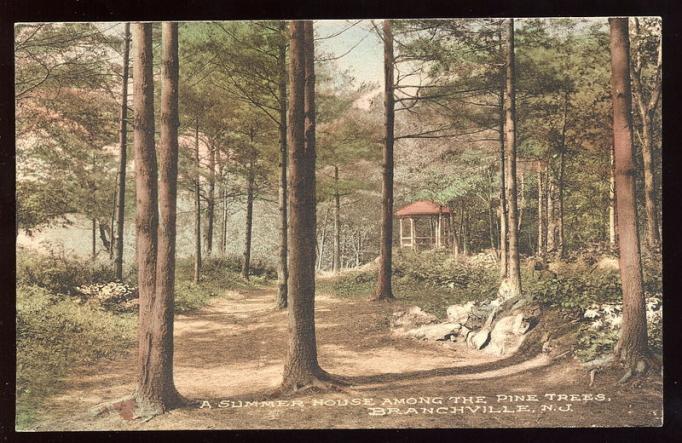Branchville - A summer house among the pine trees - 1922