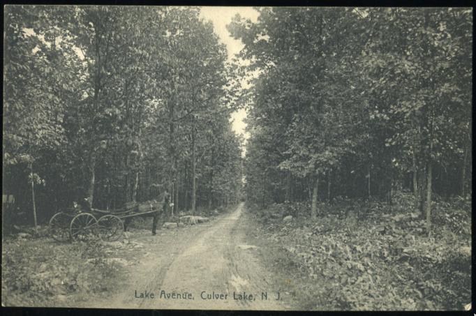 Culver Lake - Lake Avenue - 1910
