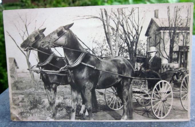 Flatbrookville - Hoursedrawn wagon amd driver - 1912