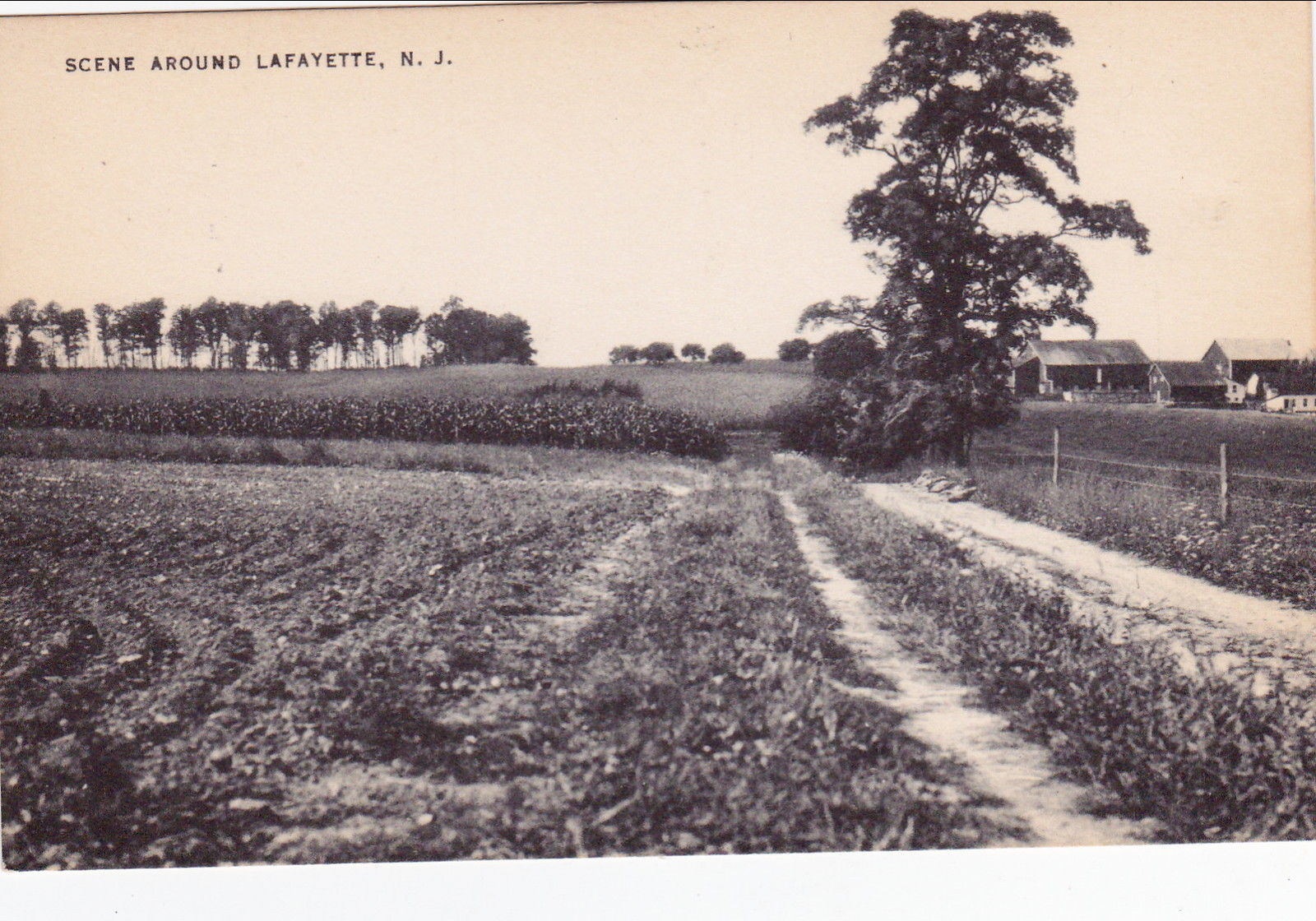 lafayette - scene on a corn farm - 1930s